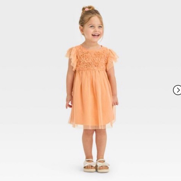 Cat & Jack Orange Rosette Tulle Party Dress 3T EUC - Picture 7 of 8